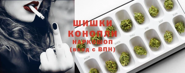 PSILOCYBIN Армянск