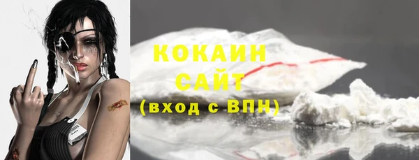 МДПВ Гусев